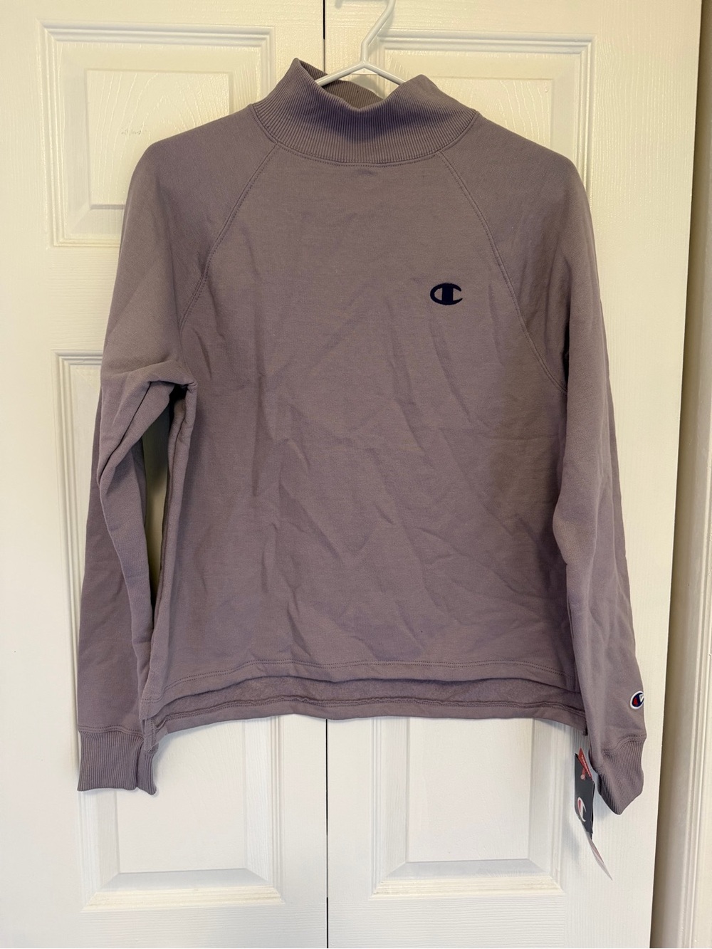 Champion Men’s Smoked Lilac Mockneck Pullover